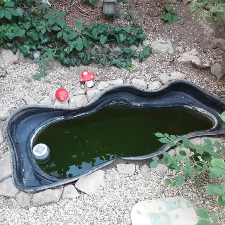 Relaxvilla Miskolctpolca, Homestay