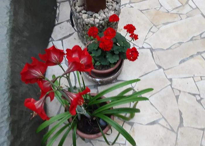 Accommodatie bij particulieren Star